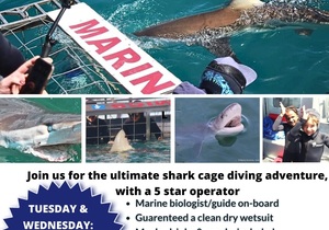 Next Shark Cage Diving Trip: 23 + 24 July 2024