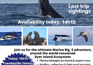 Next Marine Big 5 Trip: 22 + 23 July 2024!