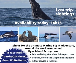 Next Marine Big 5 Trip: 22 + 23 July 2024!