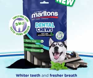 New: Marltons Dental Chews for Dogs!