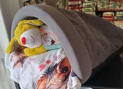 Winter Dog Beds Galore at The Pet Grocer!