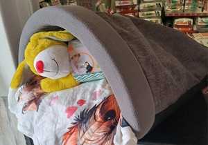 Winter Dog Beds Galore at The Pet Grocer!