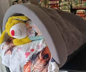 Winter Dog Beds Galore at The Pet Grocer!