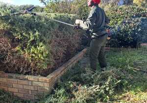 Celebrating Mandela Day