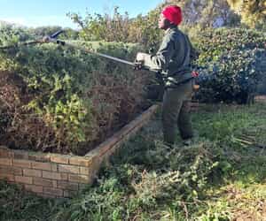 Celebrating Mandela Day