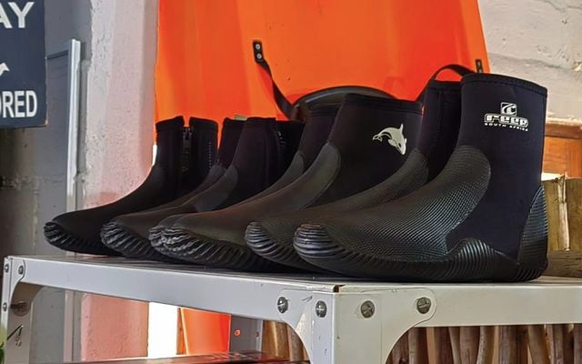 453066563_1017496320380539_6636971137569073771_n_1721987695