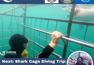 Next Shark Cage Diving Trip: 30 + 31 July 2024