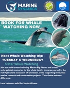 Next Marine Big 5 Trip: 30 + 31 July 2024!