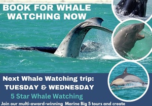 Next Marine Big 5 Trip: 30 + 31 July 2024!