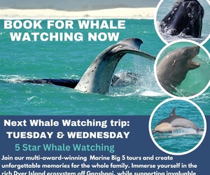 Next Marine Big 5 Trip: 30 + 31 July 2024!