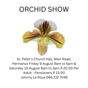 Celebrating 30 Years of Orchid Love in Hermanus