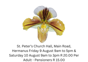Celebrating 30 Years of Orchid Love in Hermanus