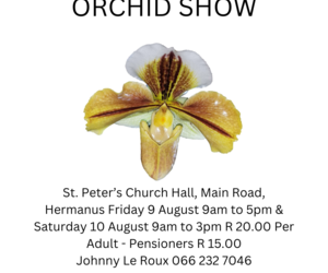 Celebrating 30 Years of Orchid Love in Hermanus