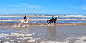 Pearly Beach Horse Trails