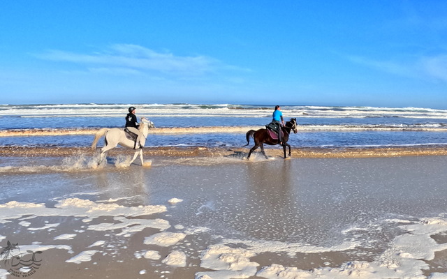 Pearly Beach Horse Trails