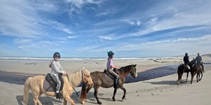 Pearly Beach Horse Trails