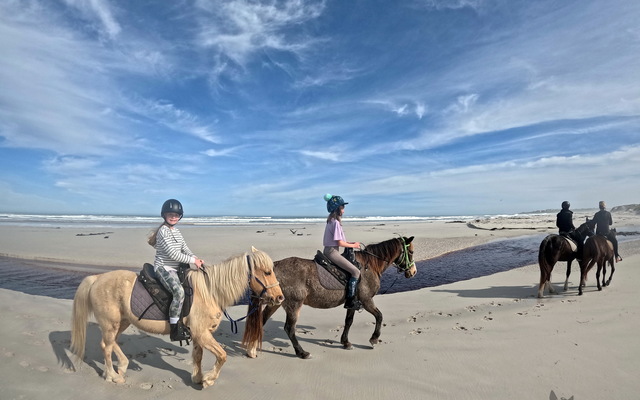Pearly Beach Horse Trails