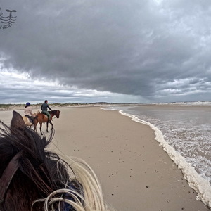 Pearly Beach Horse Trails