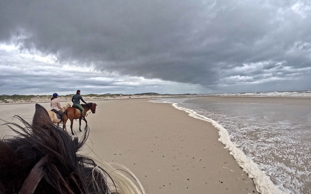 Pearly Beach Horse Trails
