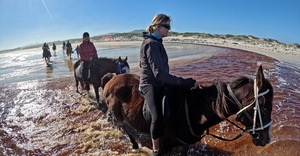 Winter Fun # Pearly Beach Horse Trails