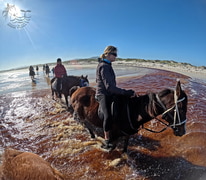 Winter Fun # Pearly Beach Horse Trails