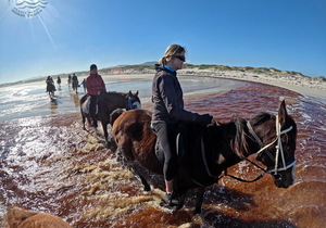 Winter Fun # Pearly Beach Horse Trails