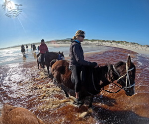 Winter Fun # Pearly Beach Horse Trails