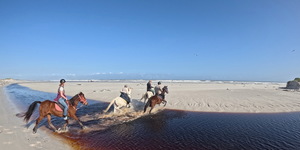 Pearly Beach Horse Trails