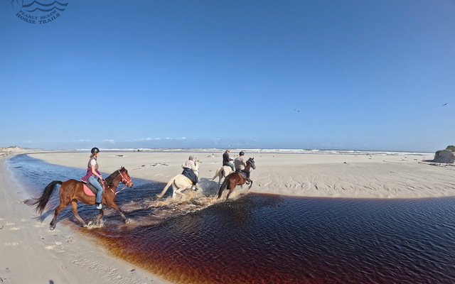Pearly Beach Horse Trails