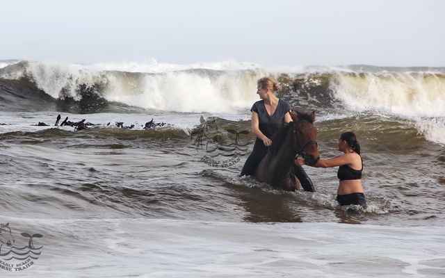 Pearly Beach Horse Trails