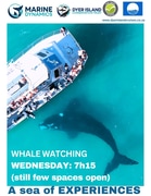 Next Marine Big 5 Trip: 31 July 2024!