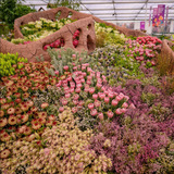 unnamed_2__1722408412