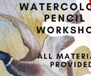 29 August 2024: Watercolour Pencil Workshop