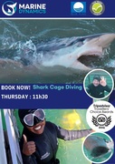 Next Shark Cage Diving Trip: 1 August 2024