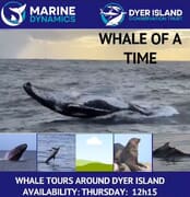 Next Marine Big 5 Trip: 1 August 2024!