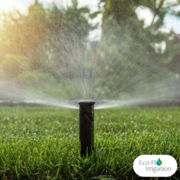 Install Your Irrigation System This Winter