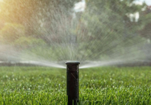 Install Your Irrigation System This Winter