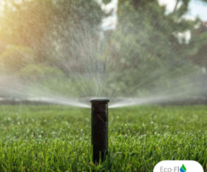 Install Your Irrigation System This Winter