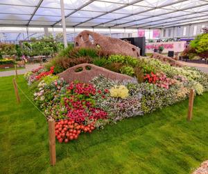 Experience the International Award-Winning Chelsea Flowers in Stanford