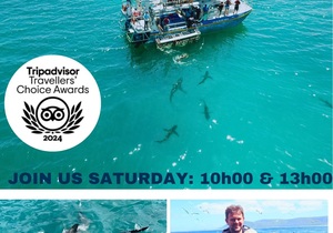 Next Shark Cage Diving Trip: 3 August 2024