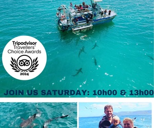 Next Shark Cage Diving Trip: 3 August 2024