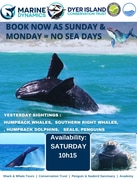 Next Marine Big 5 Trip: 3 August 2024!