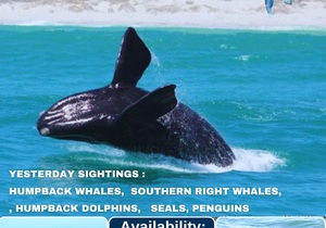 Next Marine Big 5 Trip: 3 August 2024!