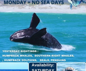 Next Marine Big 5 Trip: 3 August 2024!