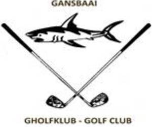 Golf Competition Results for 31 July - 4 August 2024