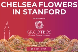 Chelsea Flowers in Stanford