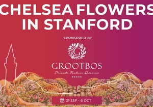 Chelsea Flowers in Stanford