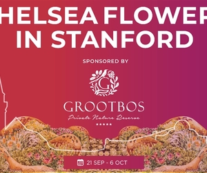 Chelsea Flowers in Stanford