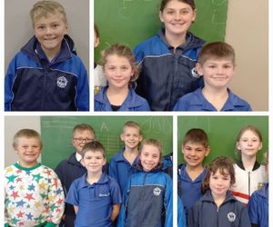 Gansies Presteer by Eisteddfod