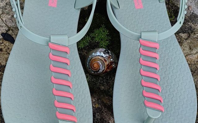 454373439_1012874034172150_9032567671316534760_n_1723034818